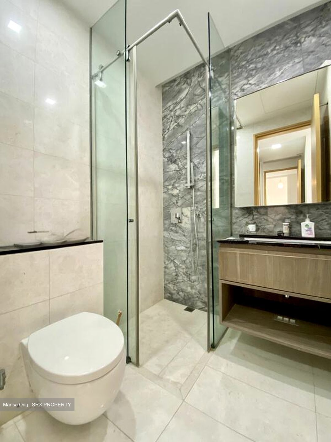 Goodwood Grand (D10), Apartment #519357081
